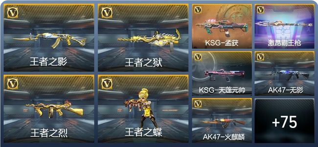 穿越火线：枪战王者V4 4王者武器 103英雄武器 2英雄角色 245万化 精英