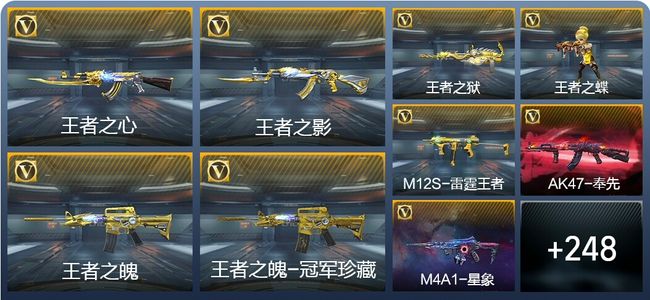 穿越火线：枪战王者V8 18王者武器 282英雄武器 3英雄角色 694万化 枪神