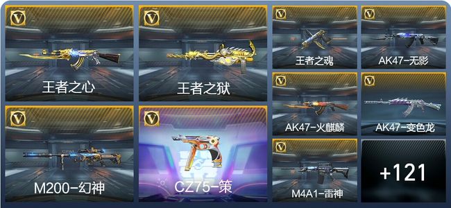 穿越火线：枪战王者V3 4王者武器 196英雄武器 1英雄角色 206万化 枪王SSS