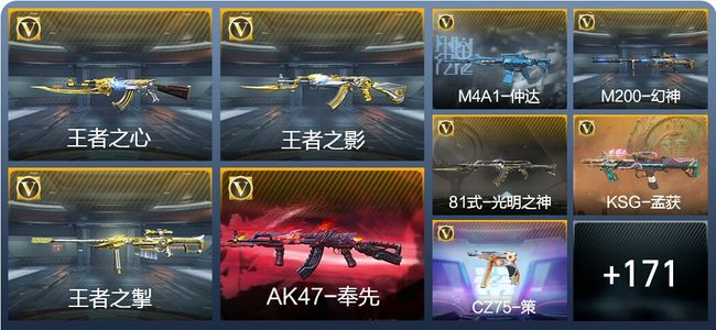 穿越火线：枪战王者V6 8王者武器 274英雄武器 2英雄角色 251万化 枪皇SSS