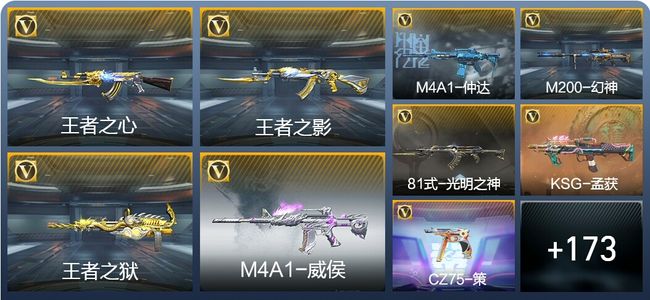 穿越火线：枪战王者V5 13王者武器 273英雄武器 3英雄角色 422万化 枪神