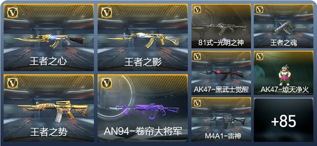 穿越火线：枪战王者V5 13王者武器 120英雄武器 1英雄角色 145万化 专家S