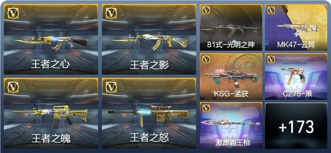 穿越火线：枪战王者V6 9王者武器 283英雄武器 1英雄角色 339万化 大师S