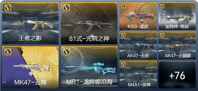 穿越火线：枪战王者V5 1王者武器 115英雄武器 1英雄角色 205万化 大师