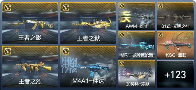 穿越火线：枪战王者V5 4王者武器 196英雄武器 5英雄角色 234万化 专家S