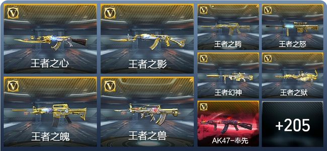 穿越火线：枪战王者V9 35王者武器 312英雄武器 4英雄角色 364万化 专家