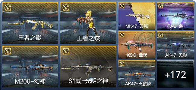 穿越火线：枪战王者V5 5王者武器 245英雄武器 5英雄角色 312万化 大师S