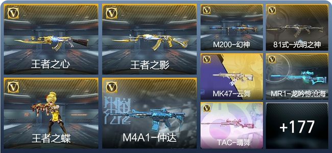 穿越火线：枪战王者V5 7王者武器 240英雄武器 3英雄角色 319万化 专家S