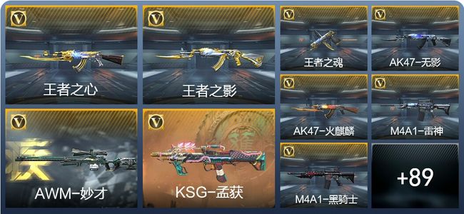 穿越火线：枪战王者V2 4王者武器 135英雄武器 3英雄角色 215万化 枪王