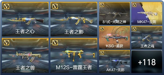 穿越火线：枪战王者V5 5王者武器 161英雄武器 1英雄角色 263万化 大师SS