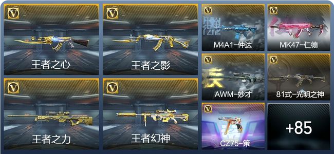 穿越火线：枪战王者V7 18王者武器 135英雄武器 3英雄角色 207万化 专家S