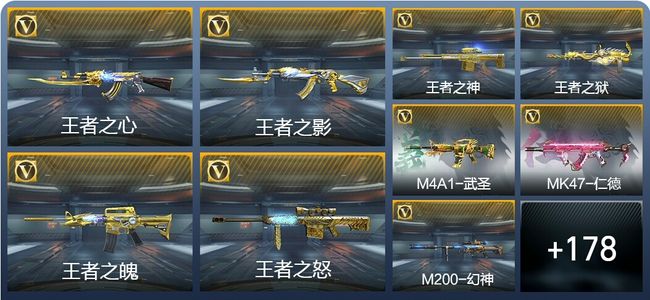 穿越火线：枪战王者V8 16王者武器 305英雄武器 5英雄角色 401万化 大师SS