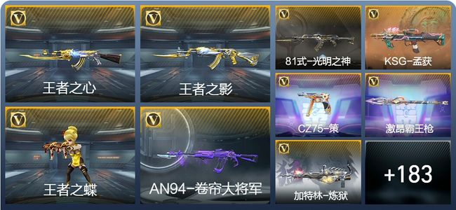 穿越火线：枪战王者V5 4王者武器 252英雄武器 6英雄角色 290万化 精英