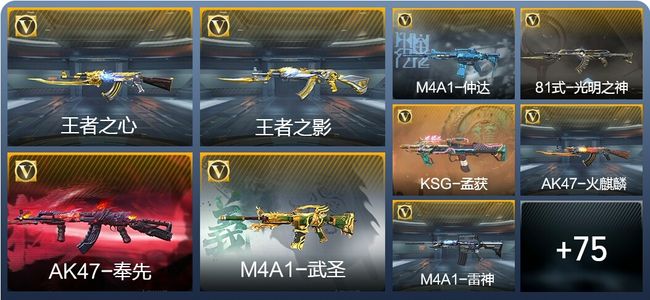 穿越火线：枪战王者V6 2王者武器 115英雄武器 1英雄角色 201万化 专家S