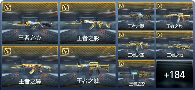 穿越火线：枪战王者V10 64王者武器 335英雄武器 8英雄角色 381万化 专家S