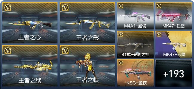 穿越火线：枪战王者V5 6王者武器 300英雄武器 6英雄角色 360万化 专家S