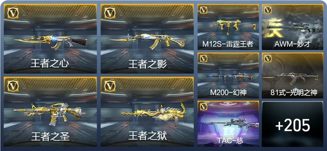 穿越火线：枪战王者V8 23王者武器 287英雄武器 5英雄角色 400万化 枪神