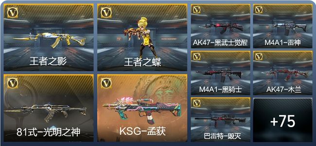 穿越火线：枪战王者V1 2王者武器 101英雄武器 133万化 大师