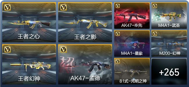 穿越火线：枪战王者V8 36王者武器 425英雄武器 10英雄角色 570万化 枪皇SSS