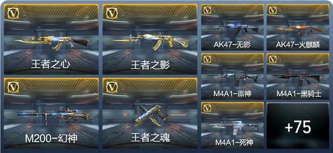 穿越火线：枪战王者3王者武器 122英雄武器 1英雄角色 158万化 精英