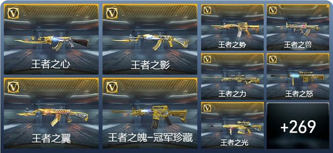 穿越火线：枪战王者V9 50王者武器 429英雄武器 13英雄角色 645万化 枪皇S