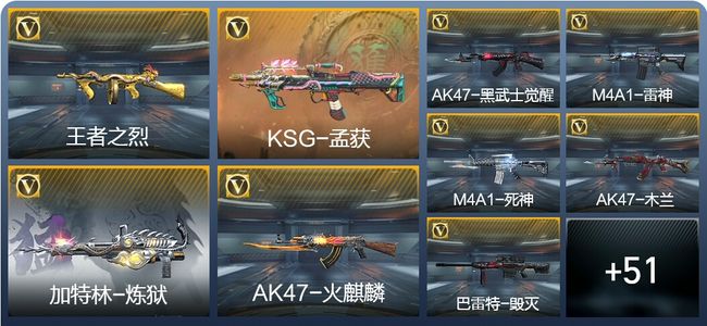 穿越火线：枪战王者V6 4王者武器 82英雄武器 1英雄角色 100万化 枪王S