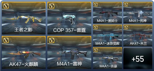 穿越火线：枪战王者V1 2王者武器 85英雄武器 1英雄角色 135万化 专家S