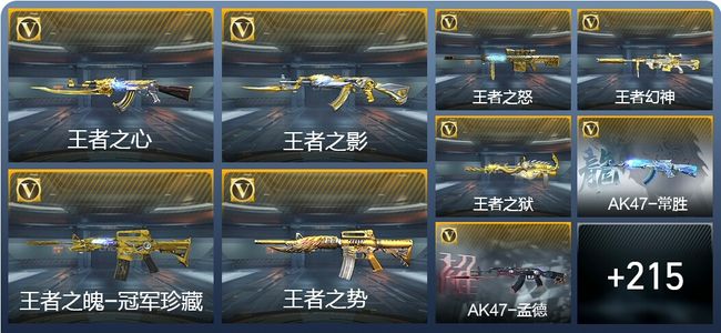 穿越火线：枪战王者V9 44王者武器 380英雄武器 4英雄角色 307万化 枪皇SSS