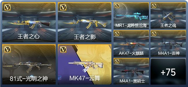 穿越火线：枪战王者5王者武器 114英雄武器 2英雄角色 147万化 大师SS