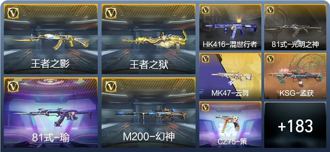 穿越火线：枪战王者V6 4王者武器 294英雄武器 6英雄角色 334万化 枪王SS