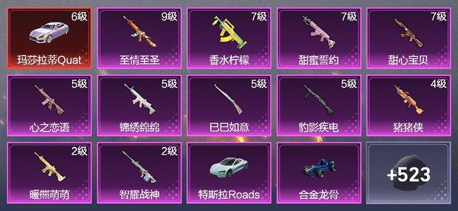 和平精英4载具 11升级枪 17粉装 4飞行器 303枪皮 234套装 119602热力 28印记 王牌