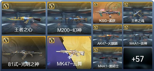 穿越火线：枪战王者V1 2王者武器 81英雄武器 1英雄角色 114万化 专家S