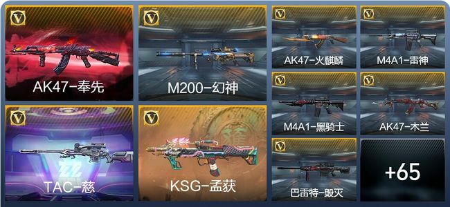 穿越火线：枪战王者V6 103英雄武器 5英雄角色 123万化 枪王SSS