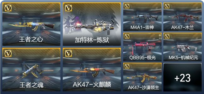 穿越火线：枪战王者V5 2王者武器 35英雄武器 76万化 专家