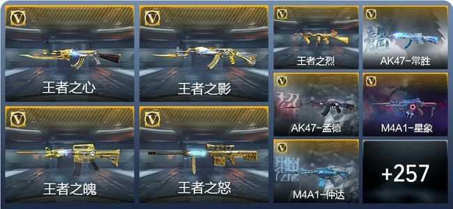 穿越火线：枪战王者V9 36王者武器 407英雄武器 6英雄角色 536万化 枪皇SSS