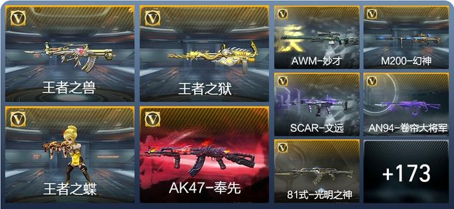 穿越火线：枪战王者V5 4王者武器 221英雄武器 5英雄角色 347万化 枪王SS