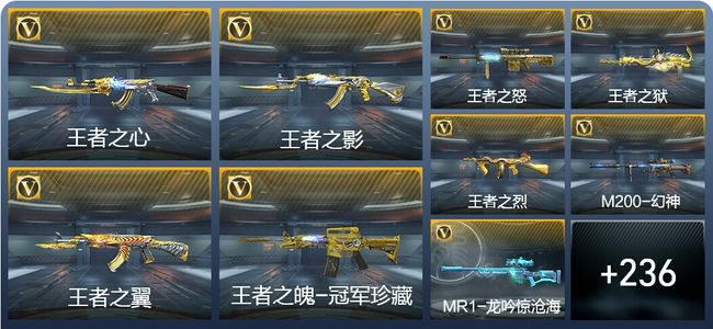 穿越火线：枪战王者V8 37王者武器 424英雄武器 9英雄角色 486万化 枪皇SSS