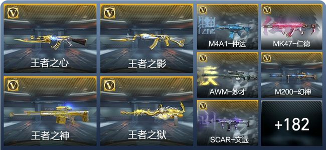 穿越火线：枪战王者V6 10王者武器 252英雄武器 6英雄角色 313万化 枪王SSS