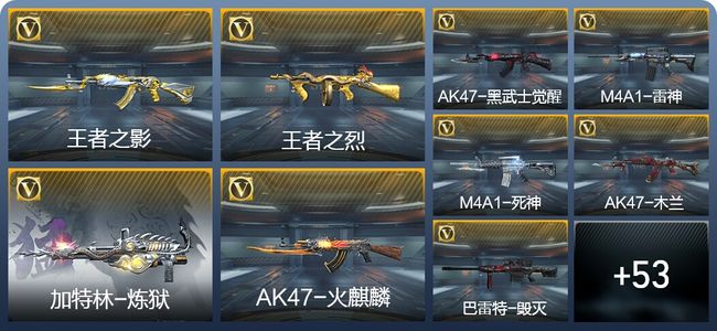 穿越火线：枪战王者V6 4王者武器 83英雄武器 3英雄角色 102万化 枪王SSS