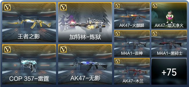 穿越火线：枪战王者V1 164王者武器 6英雄武器 新锐