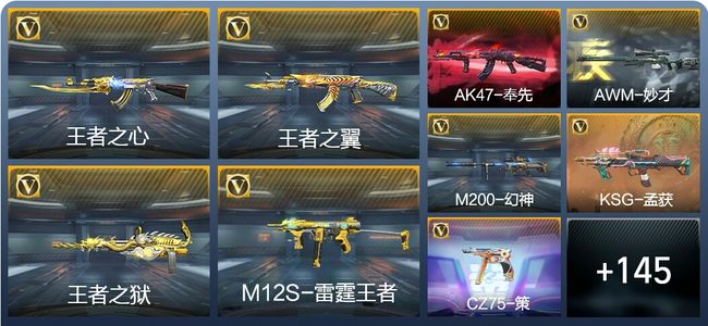 穿越火线：枪战王者V6 6王者武器 217英雄武器 4英雄角色 381万化 枪圣