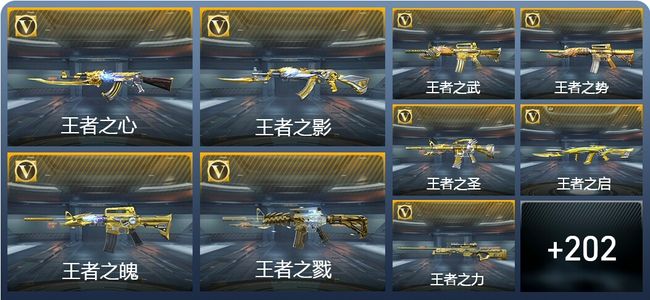 穿越火线：枪战王者V9 49王者武器 286英雄武器 8英雄角色 474万化 专家