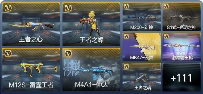 穿越火线：枪战王者V2 10王者武器 170英雄武器 1英雄角色 207万化 枪皇S