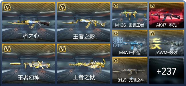 穿越火线：枪战王者V8 31王者武器 377英雄武器 8英雄角色 496万化 枪神