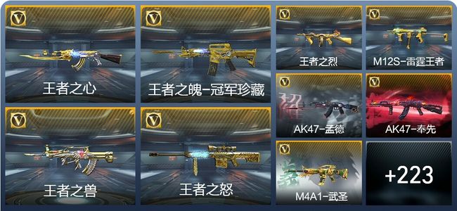 穿越火线：枪战王者V9 30王者武器 353英雄武器 5英雄角色 371万化 枪圣