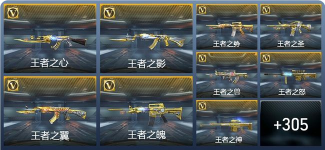 穿越火线：枪战王者V9 75王者武器 504英雄武器 9英雄角色 595万化 枪圣S