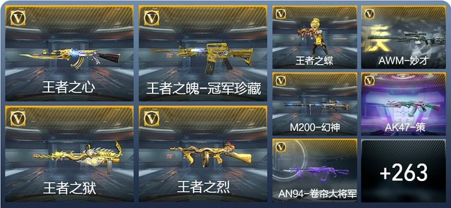 穿越火线：枪战王者V9 24王者武器 445英雄武器 6英雄角色 478万化 枪圣