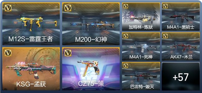 穿越火线：枪战王者V1 3王者武器 80英雄武器 1英雄角色 94万化 专家S