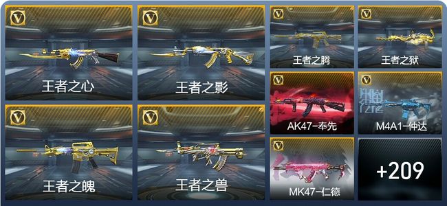 穿越火线：枪战王者V8 12王者武器 307英雄武器 5英雄角色 355万化 专家