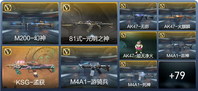 穿越火线：枪战王者V5 101英雄武器 2英雄角色 185万化 专家S